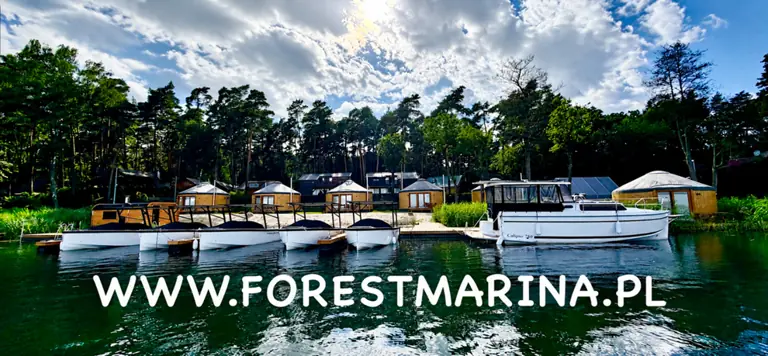 Forest Marina