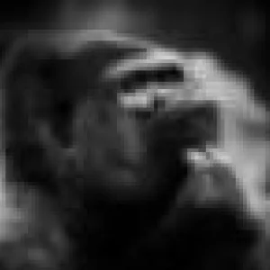 gorilla2003