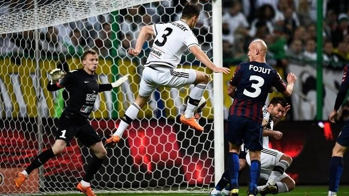870500zdj_gol_jodla