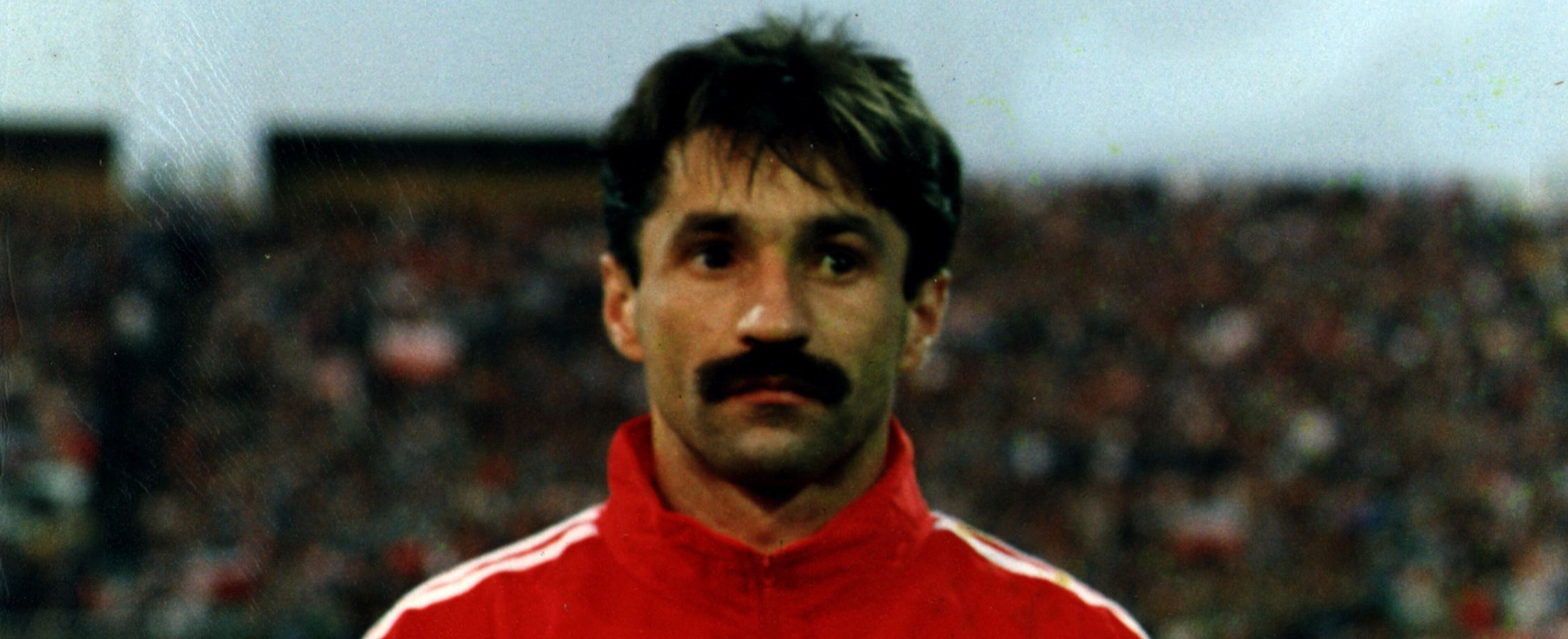 lesniak-jpg